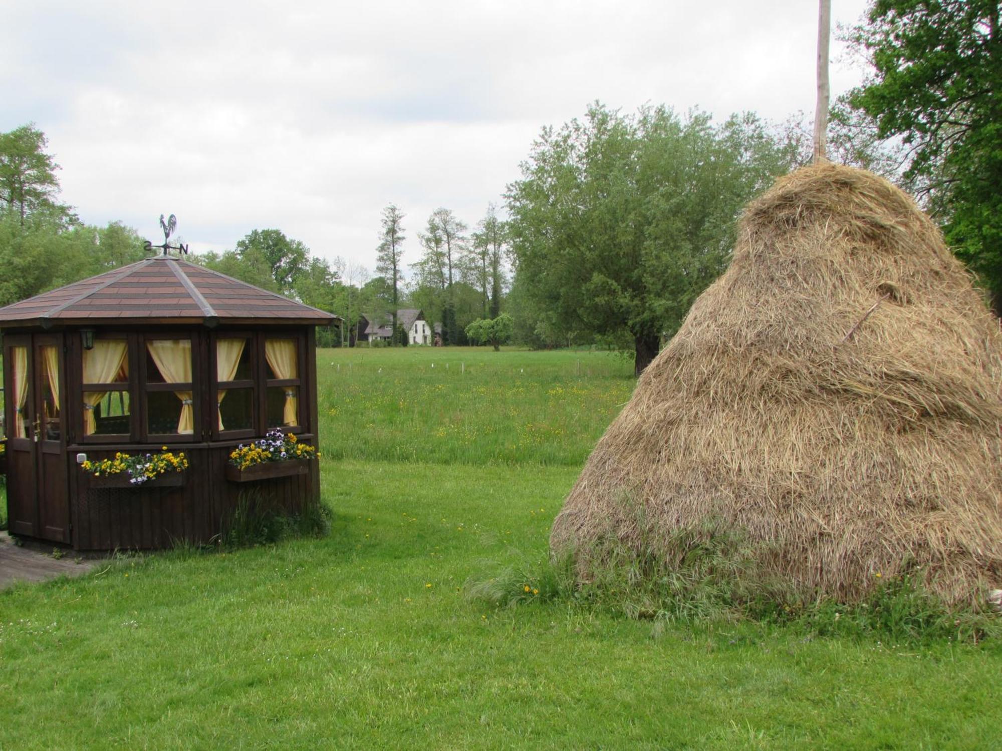 Ferienwohnung Zum Heuschober Burg  Exterior foto